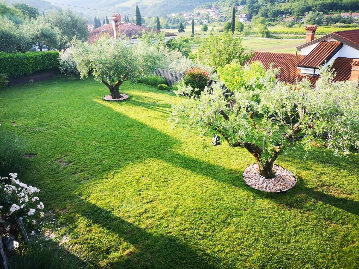 Istrian Lux Residence كوبر المظهر الخارجي الصورة