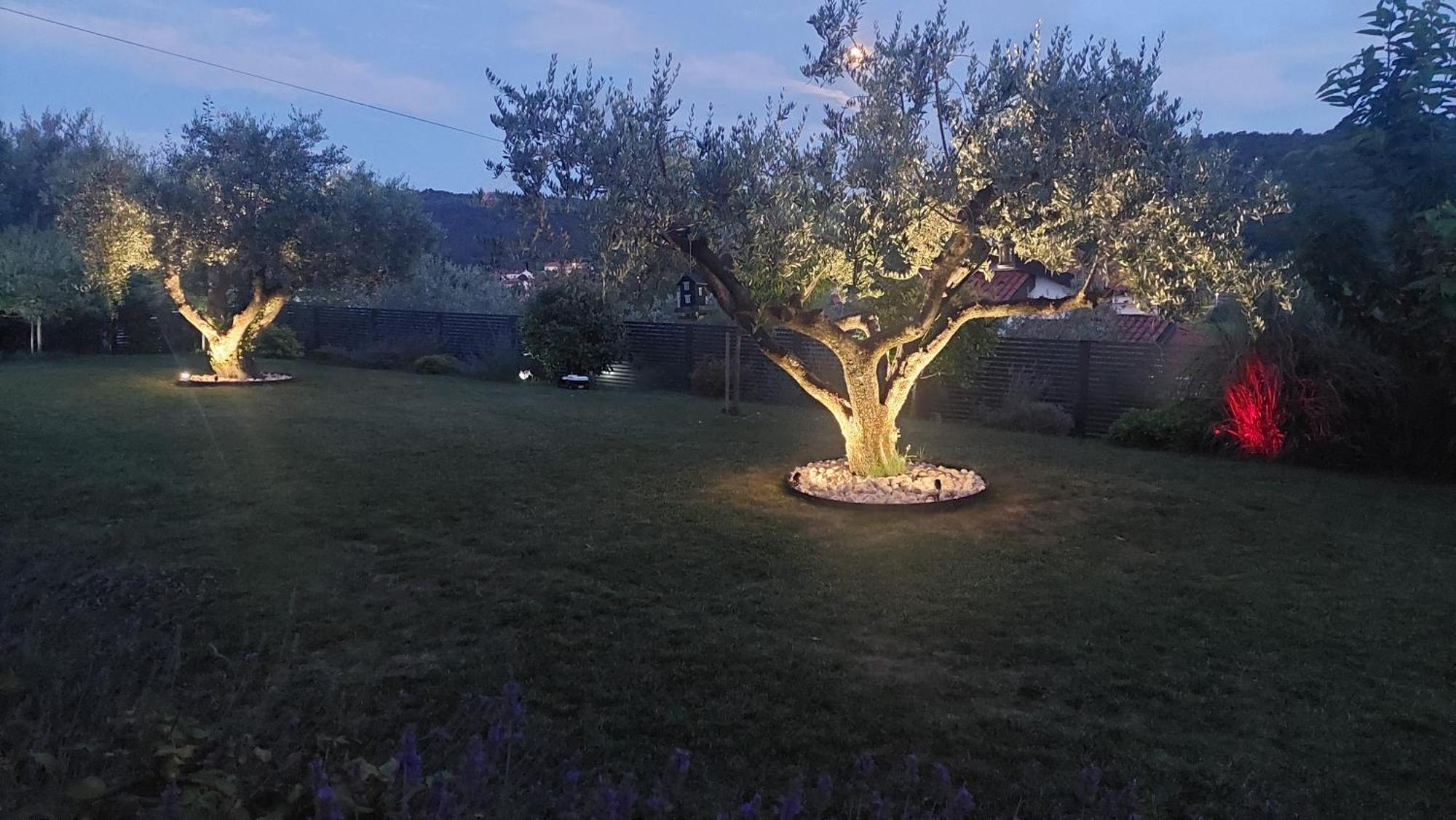 Istrian Lux Residence كوبر المظهر الخارجي الصورة