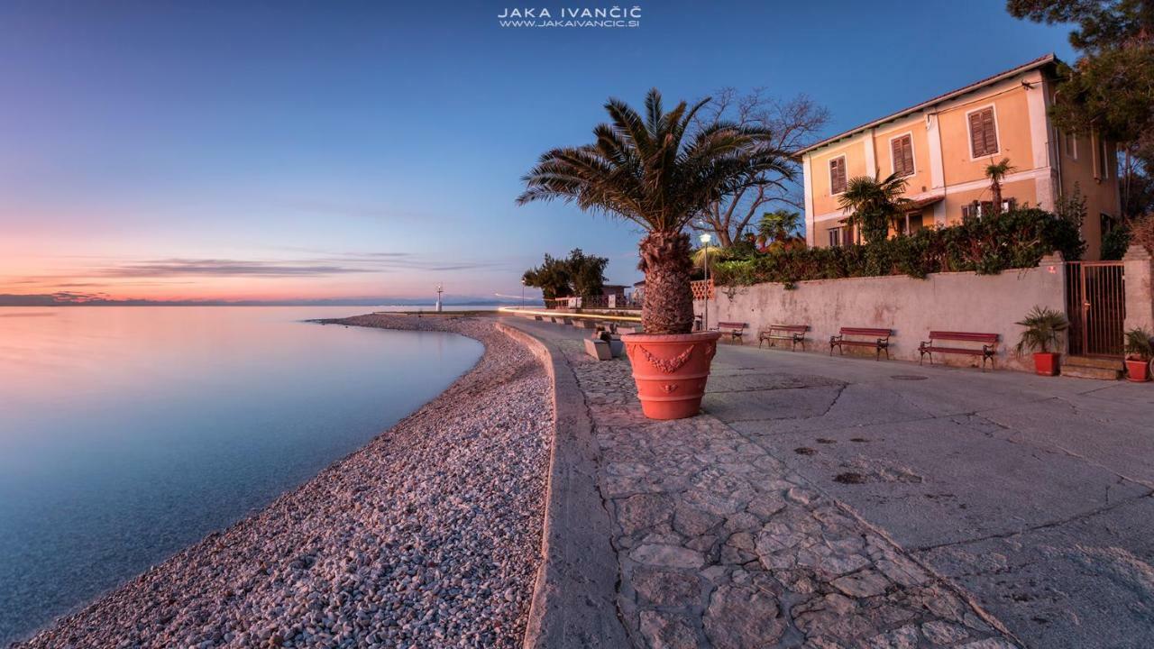 Istrian Lux Residence كوبر المظهر الخارجي الصورة