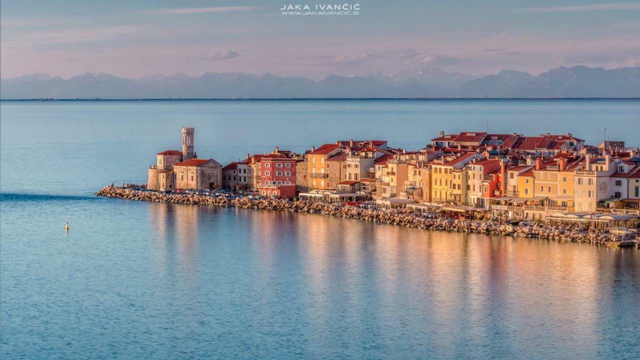 Istrian Lux Residence كوبر المظهر الخارجي الصورة